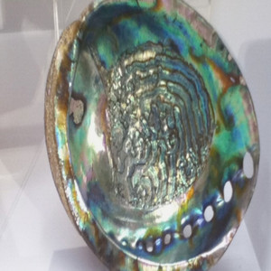 Cover: oder auch in fabeln